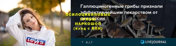 винт Алексеевка